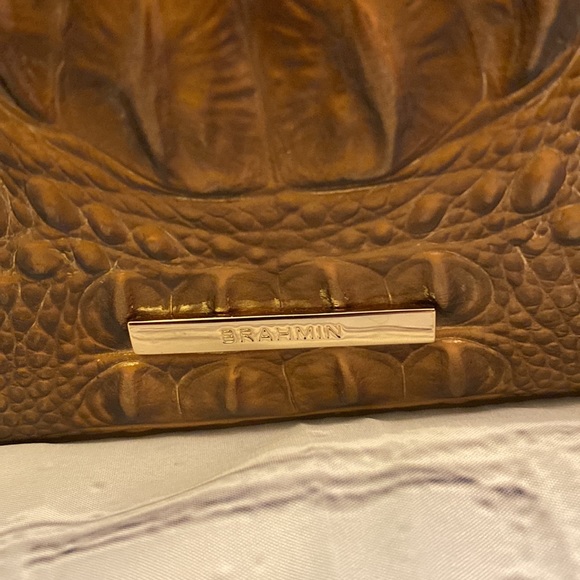 Brahmin - Picture 4 of 9